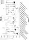 Fig. 29 - INTERPRETATION OF MACHINE LEARNING CLASSIFICATIONS IN CLINICAL DIAGNOSTICS USING SHAPELY VALUES AND USES THEREOF