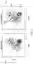 Fig. 07 - SYSTEM AND METHOD FOR ITERATIVE DATA CLUSTERING USING MACHINE LEARNING