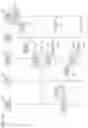 Fig. 14 - SERVER, SYSTEM, CONTROL METHOD FOR SERVER, PROGRAM, AND ELECTRONIC DEVICE