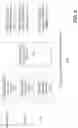 Fig. 06 - Press release distribution system