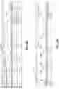 Fig. 15 - Communication of insurance claim data