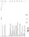 Fig. 13 - Fire Service and Equipment Inspection Test and Maintenance System and Method