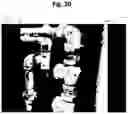 Fig. 21 - Fire Service and Equipment Inspection Test and Maintenance System and Method