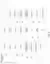 Fig. 11 - Split hierarchy graphics processing system