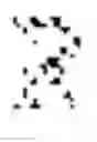 Fig. 07 - Warping data