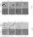 Fig. 05 - Optical system and optical image processing method using image restoration