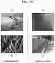 Fig. 20 - Method and electronic device for managing artifacts of image