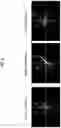 Fig. 09 - Imaging processing device and imaging processing system capable of performing collation in captured image having overexposed portion