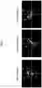 Fig. 10 - Imaging processing device and imaging processing system capable of performing collation in captured image having overexposed portion