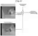 Fig. 19 - Image processing device and image processing method for correcting a depth value of a pixel or region of an image based on a contribution ratio