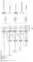 Fig. 07 - IMAGE ENHANCEMENT METHOD AND APPARATUS