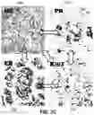 Fig. 06 - Assessing risk of breast cancer recurrence