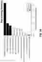 Fig. 08 - Assessing risk of breast cancer recurrence