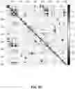 Fig. 10 - Assessing risk of breast cancer recurrence