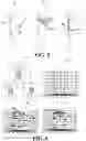 Fig. 05 - Technology to automatically identify the frontal body orientation of individuals in real-time multi-camera video feeds