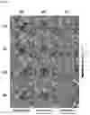 Fig. 05 - B0 field inhomogeneity estimation using internal phase maps from long single echo time MRI acquisition