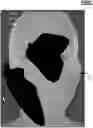 Fig. 01 - Weight maps to generate off-center split maps of a shape