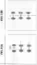Fig. 14 - Generation apparatus, generation method, and storage medium