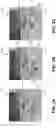 Fig. 03 - Mechanism for improved light estimation