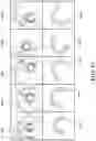Fig. 14 - Systems and methods for constructing a three-dimensional model from two-dimensional images