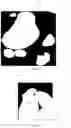 Fig. 05 - Image generation method and apparatus, device, and storage medium