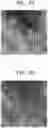 Fig. 07 - Apparatus for estimating contact distribution and method thereof