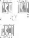 Fig. 07 - Memory-guided video object detection
