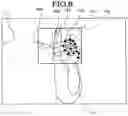 Fig. 07 - Region extraction device, region extraction method, and region extraction program