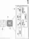 Fig. 08 - TAP TO COPY DATA TO CLIPBOARD VIA NFC