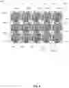 Fig. 08 - Electronic gaming machine and method with transformable grid pick selections and multi-state reveal mechanics