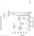 Fig. 06 - Spatial and temporal pattern analysis for integrated smoke detection and localization
