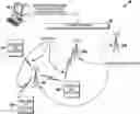 Fig. 01 - Systems and methods for robust man-down alarms