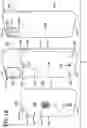 Fig. 04 - EMERGENCY PERSONAL MEDICAL DEVICE