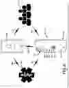 Fig. 07 - EMERGENCY PERSONAL MEDICAL DEVICE