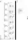 Fig. 06 - Communication devices for guards of controlled environments