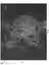 Fig. 09 - MOBILE SURVEILLANCE SYSTEMS AND METHODS FOR UAS OPERATIONAL SUPPORT