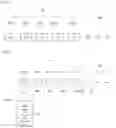 Fig. 03 - ENGLISH LEARNING PROVIDING METHOD