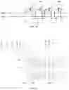 Fig. 12 - Display substrate and display panel