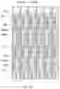 Fig. 24 - Display substrate and display panel