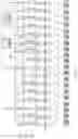Fig. 26 - Display substrate and display panel