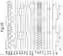 Fig. 08 - Display device having a plurality of data lines for driving a plurality of display regions