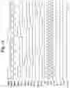 Fig. 10 - Display device having a plurality of data lines for driving a plurality of display regions