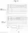 Fig. 11 - Display device having a plurality of data lines for driving a plurality of display regions