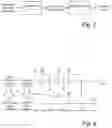 Fig. 06 - Efficient coding of audio scenes comprising audio objects