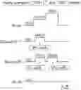 Fig. 01 - Semiconductor memory device