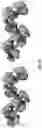 Fig. 09 - PROTEIN COMPLEX STRUCTURE PREDICTION FROM CRYO-ELECTRON MICROSCOPY (CRYO-EM) DENSITY MAPS