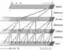 Fig. 01 - ANTIBODY LIBRARY CONSTRUCTION METHOD AND DEVICE BASED ON DEEP LEARNING