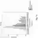 Fig. 08 - METHODS AND SYSTEMS FOR MICROSATELLITE ANALYSIS