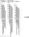 Fig. 13 - METHODS AND SYSTEMS FOR MICROSATELLITE ANALYSIS