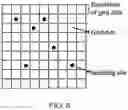 Fig. 05 - PTF-based method for predicting target soil property and content